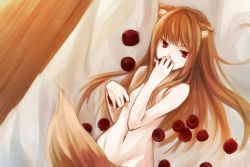 Rule 34 | 1girl, animal ears, apple, brown hair, expressionless, food, fruit, holo, long hair, looking at viewer, navel, nude, red eyes, shiraume (hakubaian), solo, spice and wolf, tail, tsurime, upper body, wolf ears, wolf tail
