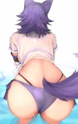 Rule 34 | 1girl, animal ears, arm strap, ass, back, bent over, bikini, breasts, highleg, highleg bikini, highres, large breasts, makoto (princess connect!), makoto (summer) (princess connect!), medium hair, mobu, princess connect!, purple bikini, purple hair, shirt, short sleeves, solo, swimsuit, tail, tied shirt, wading, water, wet, wet clothes, wet shirt, white background, white shirt, wolf ears, wolf girl, wolf tail