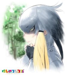 Rule 34 | 10s, 1girl, 2015, black gloves, close-up, copyright name, dated, fingerless gloves, gloves, grey hair, hair between eyes, hand on own chin, head wings, kemono friends, logo, multicolored hair, profile, shoebill (kemono friends), side ponytail, signature, solo, stroking own chin, tree, wings, yoshizaki mine