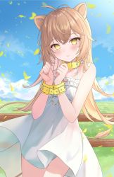 Rule 34 | 1girl, animal ears, bare shoulders, blue sky, bound, bound wrists, brown hair, chain, cloud, collar, commentary, crossed bangs, day, dress, fence, field, frilled dress, frills, hair between eyes, highres, hitsukuya, indie virtual youtuber, lion ears, lion girl, lion tail, long hair, looking at viewer, outdoors, restrained, rurudo lion, rurudo lion (1st costume), sky, sleeveless, sleeveless dress, solo, tail, very long hair, virtual youtuber, white dress, yellow collar, yellow eyes