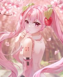 Rule 34 | 1girl, blurry, blurry background, cherry blossoms, cherry hair ornament, commentary, detached sleeves, floating hair, flower, food-themed hair ornament, hair between eyes, hair intakes, hair ornament, hatsune miku, highres, holding, holding flower, hyerang, long hair, long sleeves, looking at viewer, looking back, number tattoo, petals, pink eyes, pink flower, pink hair, pink sleeves, sakura miku, solo, tattoo, twintails, upper body, vocaloid, wide sleeves