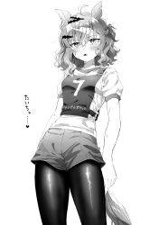 Rule 34 | 1girl, absurdres, ahoge, animal ears, blush, braid, commentary request, cowboy shot, earrings, french braid, greyscale, hair between eyes, hair ornament, highres, horse ears, horse girl, horse tail, jewelry, jungle pocket (umamusume), looking at viewer, medium hair, monochrome, nayuta ggg, notched ear, original race uniform (umamusume), pantyhose, puffy short sleeves, puffy sleeves, race bib, short sleeves, shorts, simple background, single earring, solo, sweat, tail, triangle mouth, umamusume, white background, x hair ornament