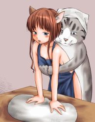 Rule 34 | 1girl, animal ears, apron, bed, bent over, bestiality, blue dress, blue eyes, blush, brown hair, cat, cat ears, dough, dress, kneading, lowres, naked apron, sex, vaginal