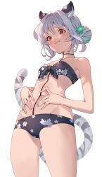 Rule 34 | 1girl, :t, absurdres, animal ears, ayacho, bai (granblue fantasy), bandeau, bare shoulders, bikini, black bikini, blue archive, blush, breasts, brown eyes, cosplay, double bun, floral print, from behind, granblue fantasy, grey hair, groin, hair bun, hair intakes, hands on own stomach, highres, koharu (blue archive), koharu (blue archive) (cosplay), koharu (swimsuit) (blue archive), looking down, navel, raised eyebrows, short hair, simple background, small breasts, solo, standing, swimsuit, tail, tiger ears, tiger girl, tiger tail, white background