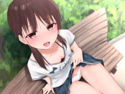 Rule 34 | 1girl, absurdres, arm at side, bench, black skirt, blue skirt, blush, bow, bow panties, breasts, brown eyes, brown hair, bush, cleavage, clothes lift, collarbone, day, downblouse, eyelashes, flashing, foreshortening, from above, highres, kanju, legs, lifted by self, long hair, looking at viewer, low twintails, miniskirt, no bra, non-web source, on bench, open mouth, original, outdoors, panties, park, park bench, pink bow, short sleeves, shorts, sidelocks, sitting, skirt, skirt lift, small breasts, smile, solo, tongue, tongue out, twintails, underwear, white panties, white shorts