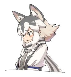 Rule 34 | 1girl, absurdres, animal ears, blush, collared shirt, eastern wolf (kemono friends), extra ears, fang, grey eyes, grey hair, grey necktie, grey scarf, grey vest, hair between eyes, highres, juliet sleeves, kemono friends, long sleeves, looking down, multicolored hair, necktie, okome kogashi, open mouth, plaid necktie, puffy sleeves, scarf, shirt, short hair, sidelocks, solo, two-tone hair, two-tone scarf, upper body, vest, white hair, white scarf, white shirt, wolf ears, wolf girl
