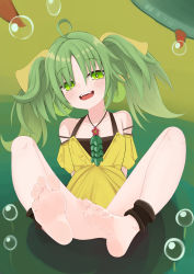 Rule 34 | 1girl, absurdres, barefoot, bubble, feet, green eyes, green hair, highres, long hair, looking at viewer, lts kakuyo, open mouth, soles, toes, traptrix sera, twintails, yu-gi-oh!