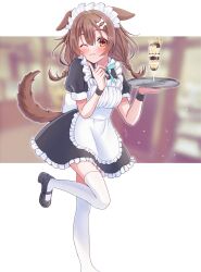 Rule 34 | 1girl, alternate costume, animal ear fluff, animal ears, apron, black dress, black footwear, blurry, blurry background, blush, bone hair ornament, braid, brown eyes, brown hair, commentary request, dog ears, dog girl, dog tail, dress, enmaided, hair between eyes, hair ornament, highres, holding, holding plate, hololive, index finger raised, inugami korone, leg up, loafers, long hair, looking at viewer, low twin braids, maid, maid apron, maid headdress, one eye closed, parfait, plate, shoes, short sleeves, sidelocks, smile, solo, tail, thighhighs, twin braids, virtual youtuber, white thighhighs, wrist cuffs, yukimura 88