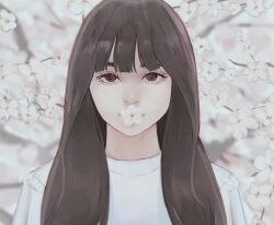 1girl 22enose22 black_eyes black_hair cherry_blossoms eyelashes flower flower_over_mouth long_hair looking_at_viewer original shirt solo straight-on upper_body white_flower white_shirt