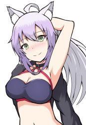 Rule 34 | 1girl, absurdres, ahoge, animal ear fluff, animal ears, arm up, atalanta (fate), bikini, black jacket, blush, breasts, cat ears, cleavage, closed mouth, commentary request, fate/apocrypha, fate (series), gradient hair, green eyes, hair between eyes, head tilt, highres, jacket, large breasts, mitchi, multicolored hair, navel, nose blush, o-ring, purple bikini, purple hair, smile, solo, swimsuit, upper body, white hair