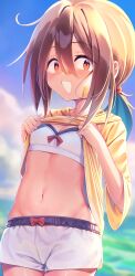 Rule 34 | 1girl, absurdres, bandaid, bandaid on face, bandaid on nose, bikini, bikini shorts, blush, breasts, brown eyes, brown hair, cowboy shot, do it yourself!!, evening, fang, highres, hood, hood down, hoodie, in water, jiyasu, lifted by self, looking at viewer, naver, ocean, open mouth, outdoors, ponytail, shiny skin, shorts, skin fang, sky, small breasts, solo, standing, stomach, swimsuit, swimsuit under clothes, white bikini, white shorts, yellow hoodie, yua serufu