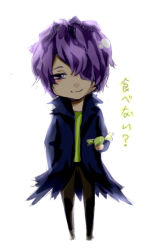 Rule 34 | 1boy, candy, food, full body, garry (ib), hair over one eye, hands in pockets, ib (kouri), male focus, purple eyes, purple hair, short hair, smile, solo, translation request, white background