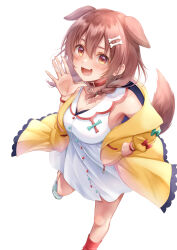 Rule 34 | 1girl, :d, absurdres, animal collar, animal ears, baumku techen, blush, bone hair ornament, bracelet, braid, breasts, brown eyes, brown hair, cleavage, collar, commentary request, dog ears, dog girl, dog tail, dress, extra ears, fake animal ears, fangs, hair between eyes, hair ornament, hairclip, hand on own hip, hand up, highres, hololive, inugami korone, inugami korone (1st costume), jacket, jewelry, knee up, large breasts, long hair, looking at viewer, loose socks, low twin braids, off shoulder, open clothes, open jacket, open mouth, red collar, red socks, shoes, short dress, simple background, single bare shoulder, sleeveless, sleeveless dress, smile, sneakers, socks, solo, standing, standing on one leg, tail, twin braids, virtual youtuber, waving, white background, white dress, yellow jacket