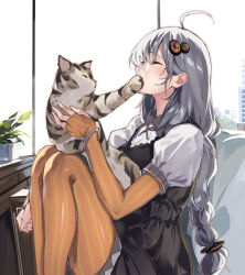 Rule 34 | 1girl, ahoge, animal, black dress, braid, breasts, cat, closed eyes, collared shirt, commentary request, covered mouth, day, dress, elbow gloves, feet out of frame, fingerless gloves, gloves, grey hair, hair between eyes, hair ornament, highres, holding, holding animal, indoors, kizuna akari, knees up, lamb (hitsujiniku), long hair, medium breasts, orange gloves, orange pantyhose, pantyhose, puffy short sleeves, puffy sleeves, shirt, short sleeves, sitting, sleeveless, sleeveless dress, solo, striped clothes, striped gloves, striped pantyhose, vertical-striped clothes, vertical-striped gloves, vertical-striped pantyhose, very long hair, voiceroid, white shirt, window