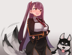 Rule 34 | arms under breasts, black gloves, black pantyhose, blush, commentary request, dog, dog tail, framed breasts, girls&#039; frontline, gloves, gold trim, half updo, high-waist skirt, necktie, one side up, open mouth, pantyhose, purple hair, red ribbon, ribbon, skirt, solo, sumiyao (amam), tail, tail wagging, tsurime, wa2000 (girls&#039; frontline)