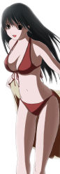 Rule 34 | ane doki, bikini, black eyes, black hair, hagiwara natsuki, highres, long hair, midriff, red bikini, solo, swimsuit
