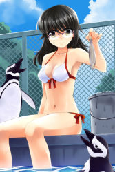 1girl bikini bird black_hair bucket female_focus fish front-tie_top glasses mizuki_(mizuki_ame) original penguin side-tie_bikini_bottom solo swimsuit yellow_eyes