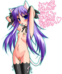 Rule 34 | 00s, 1girl, adjusting hair, animal ears, armpits, bandaid, bandaid on pussy, bandaids on nipples, blue eyes, blush, breasts, cat ears, cat tail, fake animal ears, fake tail, hiiragi kagami, long hair, lucky star, mouth hold, non-web source, nude, pasties, purple hair, ribbon, simple background, small breasts, solo, standing, tail, thighhighs, twintails, white background