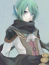 Rule 34 | 1boy, androgynous, ascot, bad id, bad pixiv id, bishounen, black scarf, blue background, closed mouth, ear covers, earrings, faize scheifa beleth, green background, green hair, hama (sleeps), jewelry, long sleeves, looking at viewer, male focus, purple eyes, scarf, simple background, smile, solo, star ocean, star ocean the last hope, swept bangs, upper body