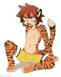 Rule 34 | 1boy, animal ears, animal hands, arm support, artist name, barefoot, bike shorts, blush, brown hair, bulge, collarbone, embarrassed, fang, furry, furry male, hatomura miri, highres, knee up, male focus, naruko shoukichi, navel, nose blush, open mouth, orange eyes, short hair, simple background, sitting, solo, spread legs, stomach, sweat, tail, tiger ears, tiger tail, topless male, twitter username, white background, yowamushi pedal