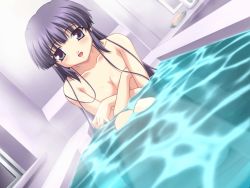 Rule 34 | 1girl, bath, breast hold, breasts, cleavage, covering privates, covering breasts, crossed arms, doki doki sister paradise, dutch angle, game cg, izumi mahiru, nude, nude cover, purple eyes, purple hair, solo