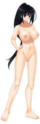 Rule 34 | 1girl, barefoot, black eyes, black hair, blush, breasts, feet, full body, game cg, hakkyou taima miko: hakkyou taima miko, hand on own hip, hip focus, large breasts, legs, long hair, looking at viewer, maki yahiro, navel, nipples, no pussy, nude, ponytail, solo, standing, thighs, toes, transparent background
