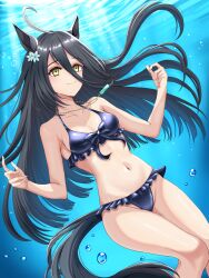 Rule 34 | 1girl, ahoge, animal ears, bikini, black bikini, black bow, black hair, blush, border, bow, breasts, cleavage, commentary request, ear ornament, hair between eyes, highres, horse ears, horse girl, horse tail, jewelry, looking at viewer, manhattan cafe (the bubbles that i see with you) (umamusume), manhattan cafe (umamusume), medium breasts, midriff, multicolored hair, navel, necklace, official alternate costume, official alternate hairstyle, open mouth, outdoors, smile, solo, streaked hair, swimsuit, tail, tsukiyuki mike, umamusume, underwater, water, white hair, yellow eyes