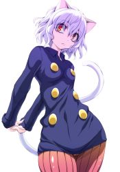 Rule 34 | 1girl, animal ears, cat ears, cat tail, curly hair, hunter x hunter, long hair, looking at viewer, neferpitou, other focus, pantyhose, short hair, solo, tail, watarui, white hair, wide hips