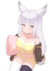 Rule 34 | absurdres, alternate costume, animal ears, asymmetrical legwear, black thighhighs, brown jacket, character request, closed mouth, commentary, commission, crop top, crop top overhang, english commentary, erune, granblue fantasy, highres, holding, holding pillow, invisible chair, jacket, klaius, long hair, looking at viewer, mismatched legwear, navel, off shoulder, open clothes, open jacket, pillow, purple eyes, simple background, sitting, solo, stomach, thighhighs, white background, white hair, white thighhighs