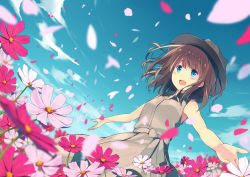 Rule 34 | 1girl, arms at sides, black hat, blue eyes, blue sky, blurry, blush, brown dress, brown hair, brown hat, cloud, cloudy sky, day, depth of field, dress, dutch angle, fedora, field, flower, flower field, hat, open mouth, original, outdoors, outstretched arms, petals, pink flower, purple flower, sky, sleeveless, sleeveless dress, smile, solo, standing, sutorora