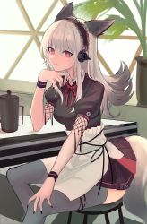 Rule 34 | 1girl, absurdres, animal ears, apron, arknights, black dress, black nails, brown hairband, closed mouth, coffee pot, dress, feet out of frame, fox ears, fox girl, fox tail, frostleaf (arknights), grey thighhighs, hairband, headphones, highres, indoors, long hair, looking at viewer, nail polish, neck ribbon, plant, potted plant, puffy short sleeves, puffy sleeves, red eyes, red ribbon, ribbon, shino duka, short sleeves, silver hair, sitting, smile, solo, stool, sweatband, tail, thighhighs, waist apron, white apron, window