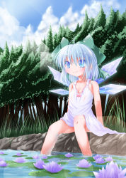 Rule 34 | 1girl, blue hair, breasts, cirno, cleavage, female focus, flower, lily pad, lingerie, ribbon, short hair, small breasts, solo, touhou, underwear, water, zein co1