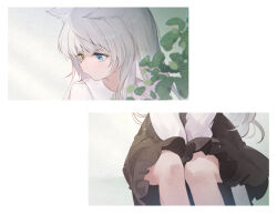 Rule 34 | 1girl, absurdres, animal ears, black dress, blue eyes, cat ears, chiyuki0321, closed mouth, commentary request, dress, heterochromia, highres, light particles, long hair, long sleeves, looking down, multiple views, original, plant, shirt, sitting, white hair, white shirt, yellow eyes