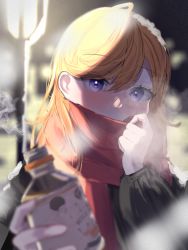 Rule 34 | 1girl, absurdres, blonde hair, blurry, blurry foreground, hair between eyes, highres, holding, long hair, long sleeves, looking at viewer, love live!, love live! superstar!!, n aaa01, night, outdoors, purple eyes, red scarf, scarf, shibuya kanon, solo, upper body, winter