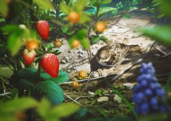 Rule 34 | animal, berry, bird, black eyes, blurry, blurry foreground, commentary request, day, depth of field, eurasian tree sparrow, food, fruit, grapes, leaf, mocha (cotton), no humans, on ground, original, outdoors, scenery, sparrow, strawberry