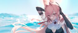 Rule 34 | 1girl, absurdres, arknights, backlighting, bikini, black bikini, breasts, cleavage, covered erect nipples, day, earrings, elbow gloves, extra ears, flower, gloves, hair intakes, highres, jewelry, large breasts, long hair, looking at viewer, no3coral, outdoors, parted lips, pink hair, pozyomka (arknights), red eyes, red flower, red rose, rose, see-through, solo, sunlight, swimsuit, upper body, very long hair, water, wet
