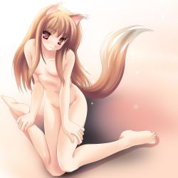 Rule 34 | 00s, 1girl, animal ears, barefoot, blush, feet, gradient background, highres, holo, namamo nanase, no bra, nude, red eyes, solo, spice and wolf, tail, wolf ears, wolf tail