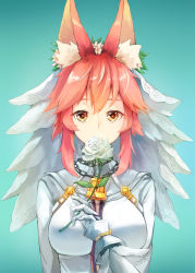 Rule 34 | 1girl, animal ear fluff, animal ears, belt, blue background, blush, bodysuit, breasts, bridal veil, chain, commentary, commentary request, cosplay, dying (dying0414), fate/extra, fate/extra ccc, fate/grand order, fate (series), flower, fox ears, fox girl, gloves, gradient background, highres, large breasts, lock, looking at viewer, nero claudius (bride) (fate), nero claudius (bride) (fate) (cosplay), nero claudius (fate), nero claudius (fate) (all), pink hair, rose, smile, solo, tamamo (fate), tamamo no mae (fate/extra), veil, white flower, white rose, yellow eyes, zipper