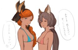 Rule 34 | &gt;:o, 10s, 2girls, :o, animal ears, aster (granblue fantasy), bikini, blue bikini, blue eyes, breasts, brown eyes, brown hair, erune, glaring, granblue fantasy, hair ornament, hair over shoulder, hair scrunchie, hairband, hanarito, long hair, looking at viewer, low twintails, multiple girls, orange hair, red bikini, sara (granblue fantasy), scrunchie, simple background, sketch, small breasts, swimsuit, twintails, upper body, v-shaped eyebrows, white background