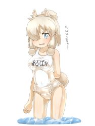 Rule 34 | 10s, 1girl, alpaca ears, alpaca suri (kemono friends), alpaca tail, animal ears, arm at side, arm behind back, bare arms, bare shoulders, blonde hair, blue eyes, breasts, collarbone, commentary request, covered navel, cowboy shot, extra ears, gluteal fold, hair over one eye, highres, horizontal pupils, kemono friends, looking at viewer, medium breasts, medium hair, name tag, one-piece swimsuit, open mouth, platinum blonde hair, school swimsuit, simple background, smile, solo, standing, swimsuit, tail, thin (suzuneya), translated, wading, water, wet, white background, white one-piece swimsuit, white school swimsuit, white theme