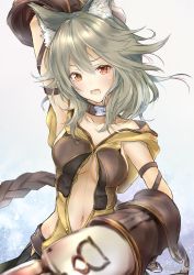Rule 34 | 10s, 1girl, animal ears, arm up, armpits, blush, breasts, claw (weapon), claws, cleavage, collar, erune, fang, granblue fantasy, grey hair, hair between eyes, highres, looking at viewer, navel, open mouth, red eyes, sen (granblue fantasy), shimono (utapre), short hair, solo, weapon
