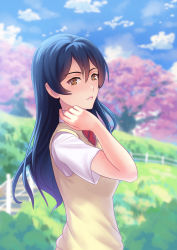 Rule 34 | 10s, 1girl, bad id, bad pixiv id, blue eyes, blue skirt, blush, brown eyes, cherry blossoms, cloud, day, fateline alpha, long hair, looking at viewer, love live!, love live! school idol project, neck ribbon, red ribbon, ribbon, skirt, smile, sonoda umi, upper body, vest