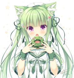 Rule 34 | 1girl, animal ear fluff, animal ears, beret, blush, bow, cat ears, chestnut mouth, commentary request, doughnut, dress, fang, flower, food, green bow, green hair, green ribbon, hair flower, hair ornament, hair ribbon, hands up, hat, holding, holding food, long hair, looking at viewer, open mouth, original, pink flower, puffy short sleeves, puffy sleeves, purple eyes, ribbon, sailor collar, sailor dress, short sleeves, signature, simple background, solo, striped, striped bow, takano yuki (allegro mistic), twintails, upper body, white background, white bow, white dress, white flower, white hat, white sailor collar
