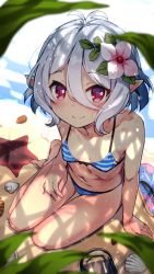 Rule 34 | 1girl, antenna hair, bare shoulders, beach, bikini, blush, breasts, collarbone, dappled sunlight, day, flower, hair between eyes, hair flower, hair ornament, highres, kokkoro (princess connect!), looking at viewer, navel, osa (osaosa), outdoors, pointy ears, princess connect!, red eyes, sand, sandals, seashell, shell, short hair, silver hair, sitting, small breasts, smile, solo, split mouth, starfish, striped bikini, striped clothes, sunlight, swimsuit, unworn sandals, white flower