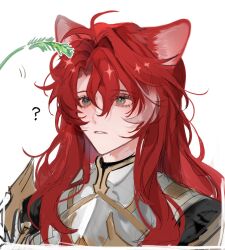 Rule 34 | 1boy, ?, animal ear fluff, animal ears, antenna hair, argenti (honkai: star rail), armor, breastplate, cat ears, cat teaser, commentary request, cropped shoulders, curtained hair, eyelashes, gold trim, green eyes, hair between eyes, highres, honkai: star rail, honkai (series), long hair, male focus, multicolored hair, oryunbunkosu, parted bangs, parted lips, pauldrons, red hair, shoulder armor, sidelocks, simple background, solo, upper body, white background, white hair