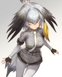 Rule 34 | 10s, 1girl, bird tail, black gloves, blush, bodystocking, breasts, collared shirt, cowboy shot, feathers, fingerless gloves, gloves, green eyes, grey background, grey pantyhose, grey shirt, grey shorts, guchico, hair between eyes, head wings, kemono friends, looking at viewer, medium breasts, necktie, pantyhose, pantyhose under shorts, shirt, shoebill (kemono friends), shorts, side ponytail, silver hair, simple background, solo, tail, twintails, white necktie, wings