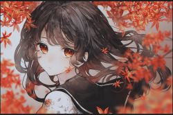 Rule 34 | 1girl, autumn leaves, black hair, black sailor collar, blurry, blurry foreground, closed mouth, commentary request, depth of field, eyes visible through hair, floating hair, highres, leaf, long hair, looking at viewer, looking back, mole, mole under eye, morino wako, original, portrait, red eyes, sailor collar, shirt, solo, twitter username, white shirt