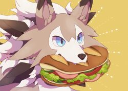 Rule 34 | blue eyes, bread, commentary request, creatures (company), fangs, food, game freak, gen 7 pokemon, highres, kechon-san, lettuce, lycanroc, lycanroc (midday), mouth hold, nintendo, no humans, pokemon, pokemon (creature), sandwich, solo, tomato, tomato slice, upper body, yellow background