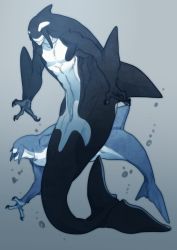 Rule 34 | 2boys, abs, bachikin (kingyo155), blue background, blue theme, claws, fins, fish tail, full body, furry, furry male, gradient background, highres, male focus, merman, monochrome, monster boy, multiple boys, muscular, no eyes, orca, original, simple background, smile, tail