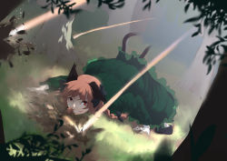 Rule 34 | 1girl, action, all fours, animal ears, ass, back, black footwear, blurry, braid, bush, cat ears, cat tail, clenched teeth, danmaku, depth of field, dodging, dress, forest, grass, green dress, kaenbyou rin, light particles, mirukia, nature, on ground, perspective, red hair, breaking, shoes, solo, tail, teeth, touhou, tree, twin braids